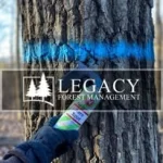 Legacy Forest Management